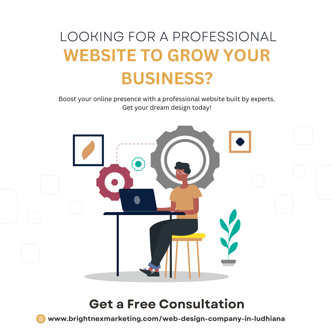 Professional Web Design Company in Ludhiana